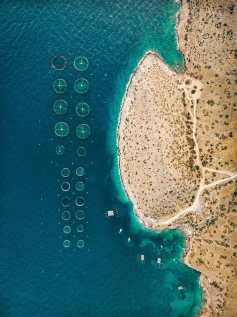 aquaculture